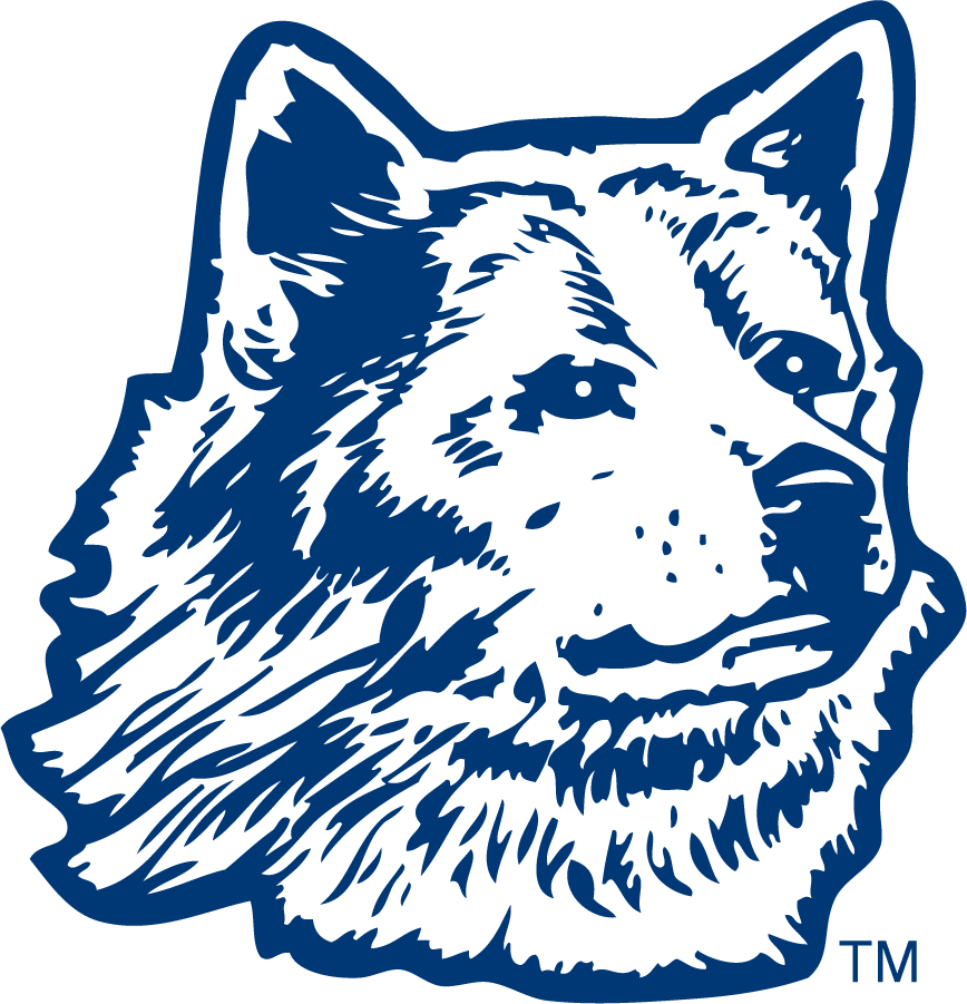 UConn Huskies 1970-1981 Primary Logo diy DTF decal sticker